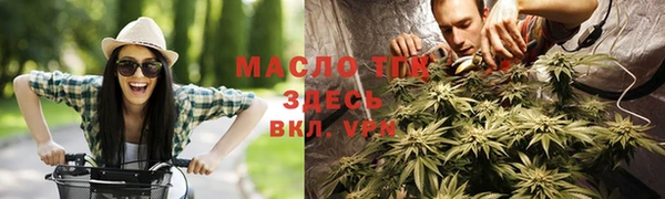ECSTASY Пересвет