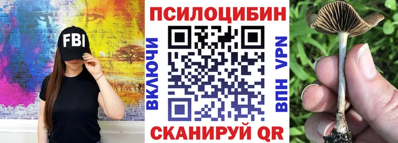 купить   MEGA сайт  Галлюциногенные грибы MAGIC MUSHROOMS  Райчихинск 